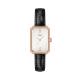 Reloj Tissot SRV "Sapphire Rectangle V" T160.110.36.113.00